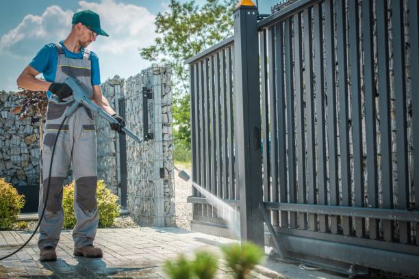 Best Roof Washing  in Paloma Creek, TX