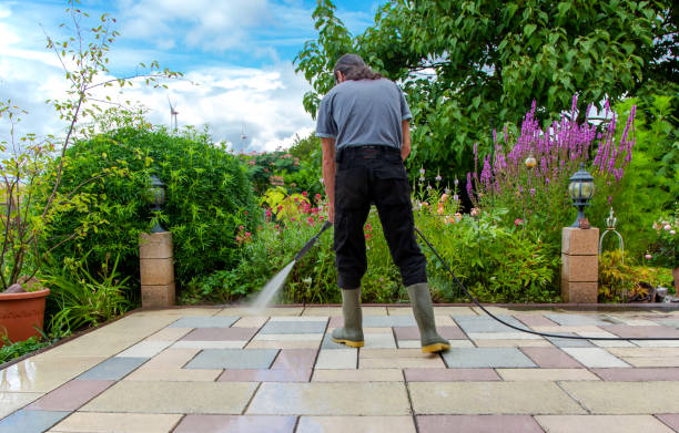 Reliable Paloma Creek, TX Pressure washing Solutions