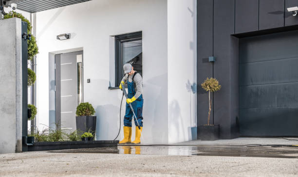 Best Driveway Pressure Washing  in Paloma Creek, TX